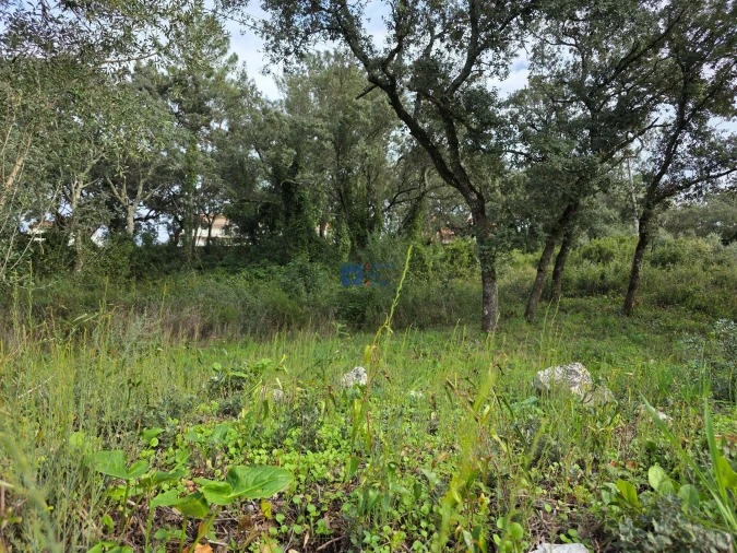 Terreno para Venda em Minde Foto 13