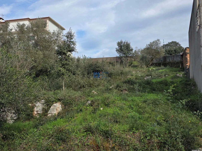 Terreno para Venda em Minde Foto 1