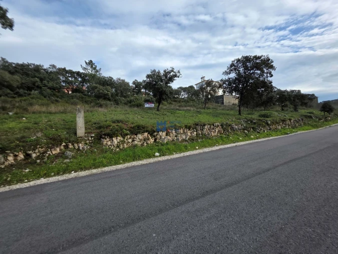 Terreno para Venda em Minde Foto 16