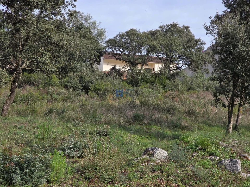 Terreno para Venda em Minde Foto 9