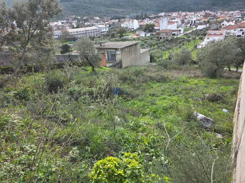 Terreno para Venda em Minde Foto 22