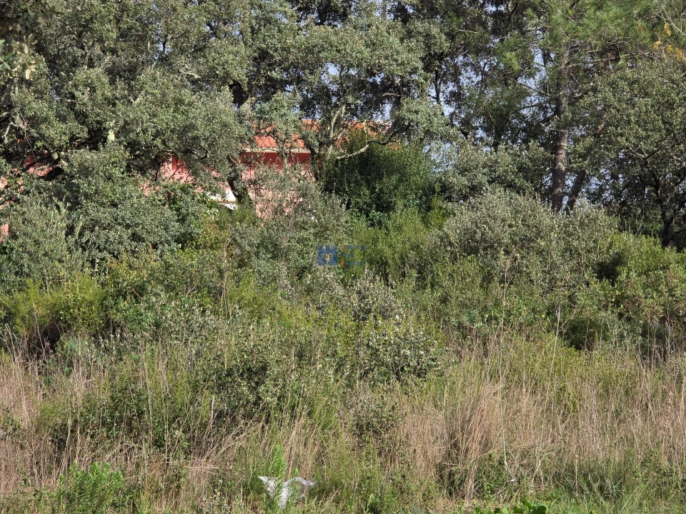 Terreno para Venda em Minde Foto 11