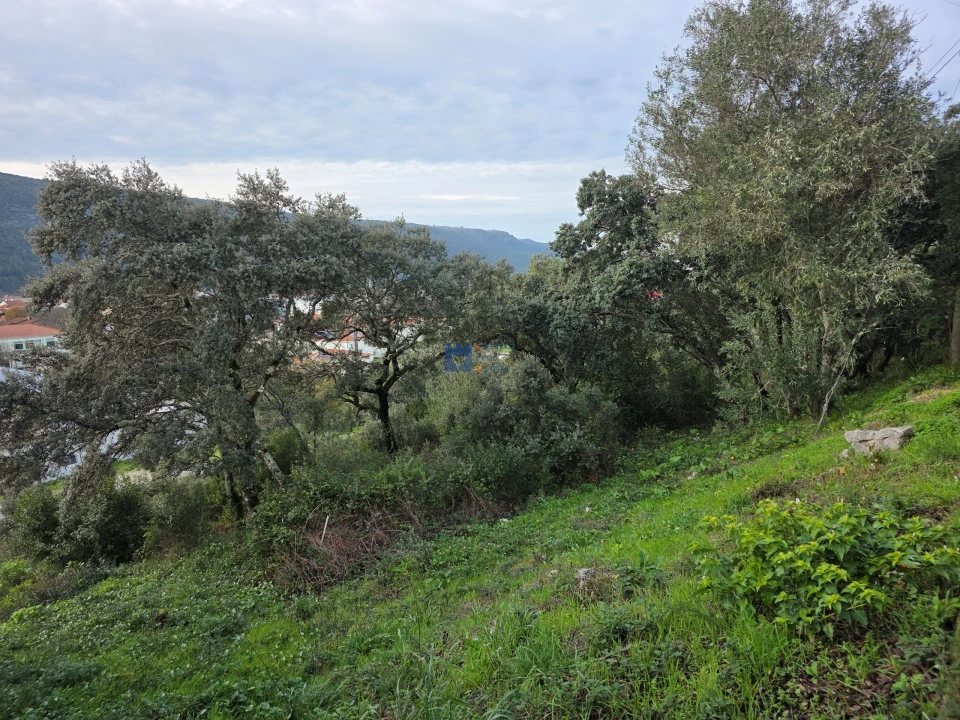 Terreno para Venda em Minde Foto 23