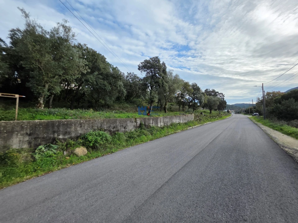 Terreno para Venda em Minde Foto 14