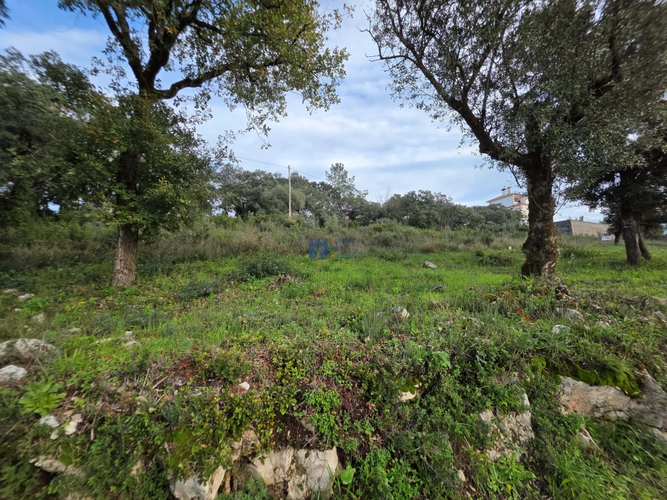 Terreno para Venda em Minde Foto 15