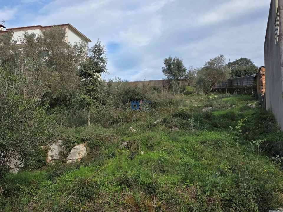 Terreno para Venda em Minde Foto 1