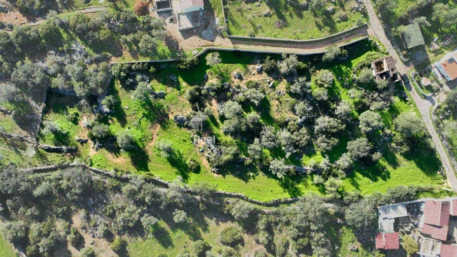 Terreno para Venda em Olhão