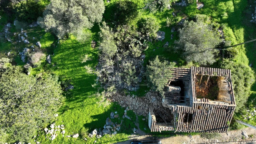 Terreno para Venda em Olhão Foto 4