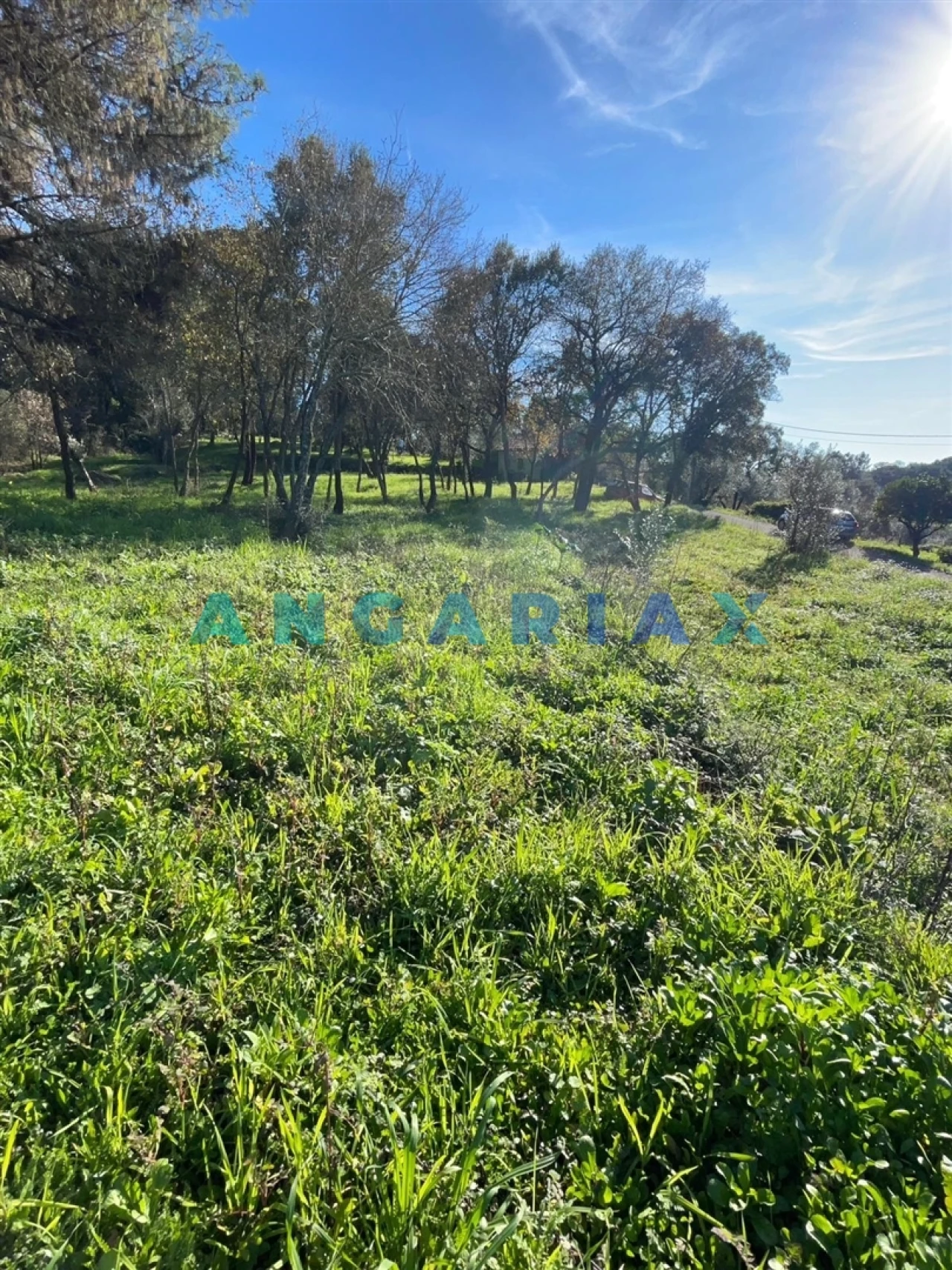 Terreno para Venda em Casais e Alviobeira Foto 2
