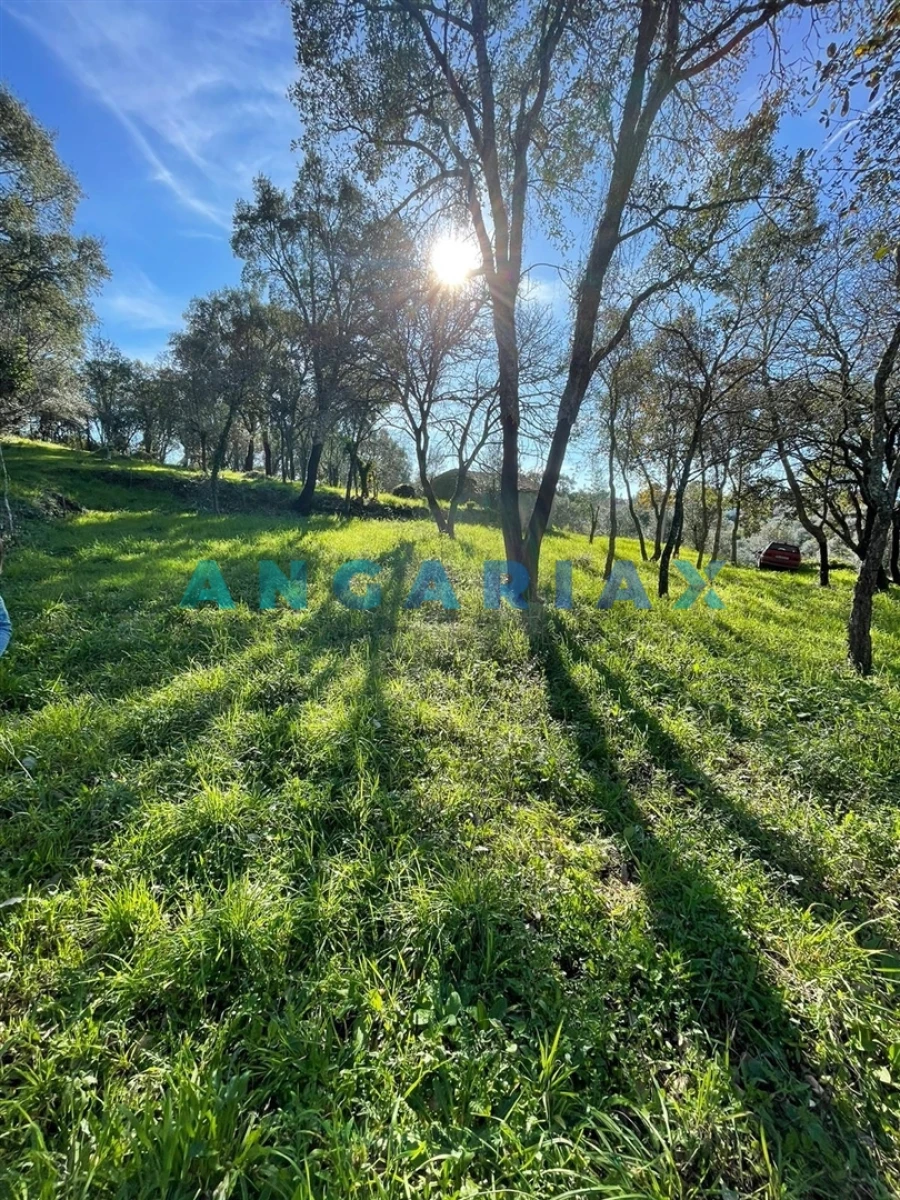 Terreno para Venda em Casais e Alviobeira Foto 1