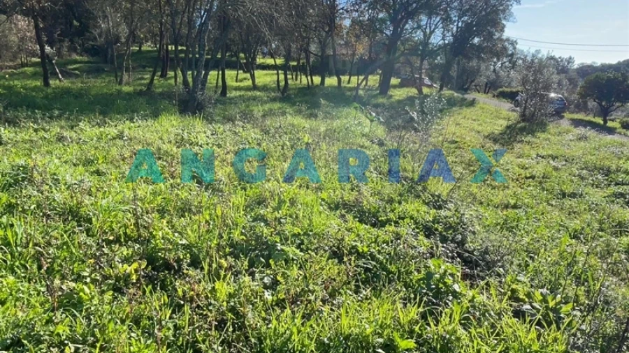 Terreno para Venda em Casais e Alviobeira
