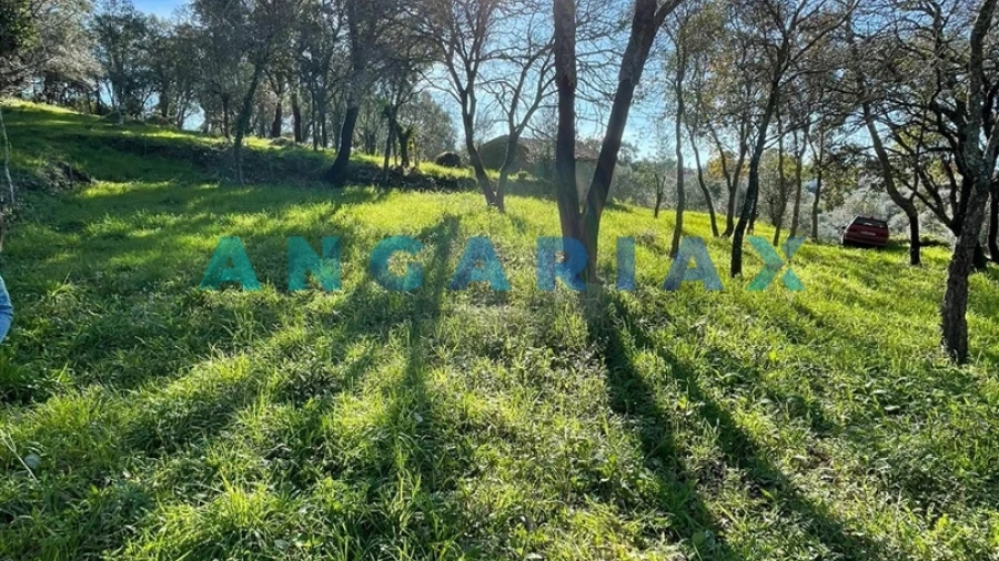 Terreno para Venda em Casais e Alviobeira
