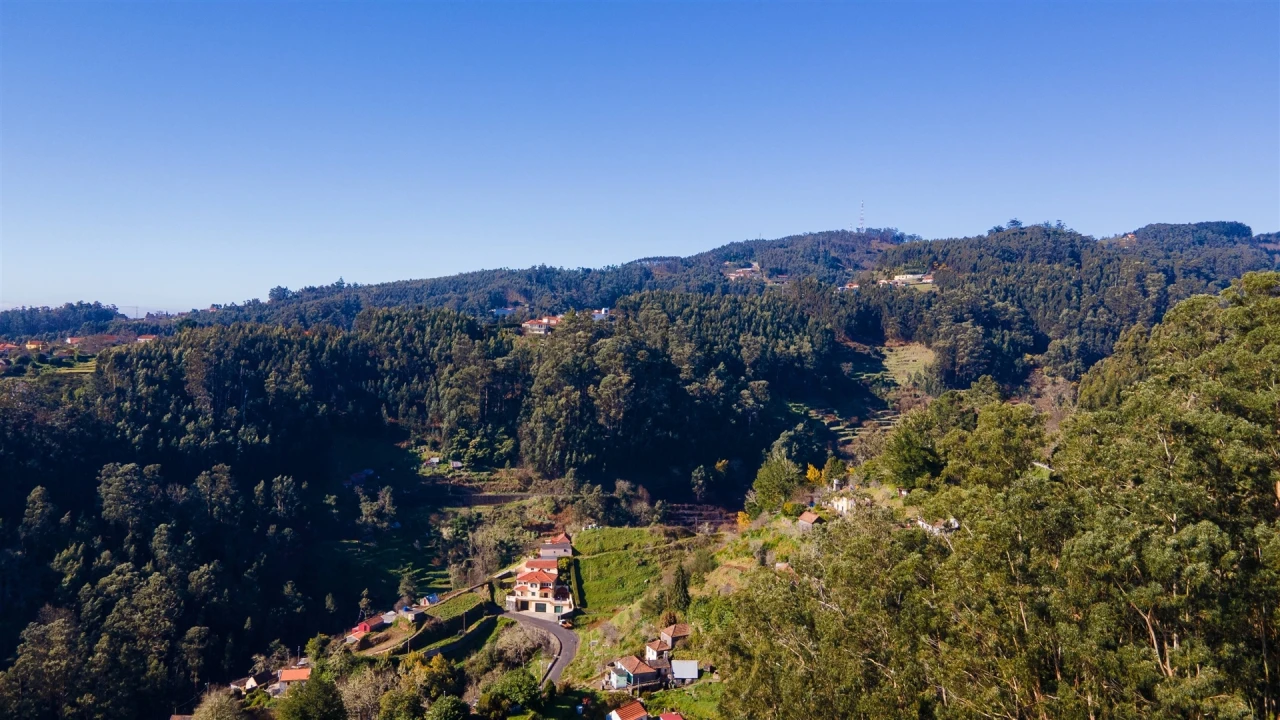 Terreno Agricola ou Rústico para Venda em Camacha Foto 12