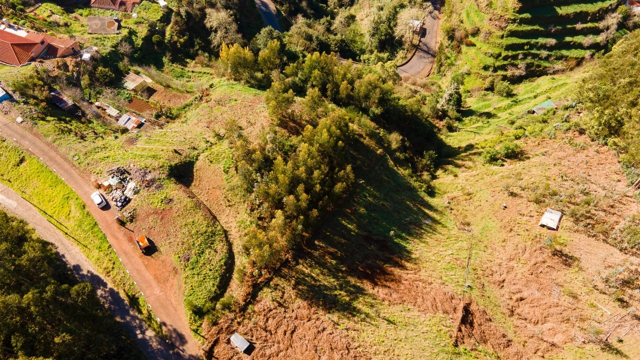 Terreno Agricola ou Rústico para Venda em Camacha Foto 8
