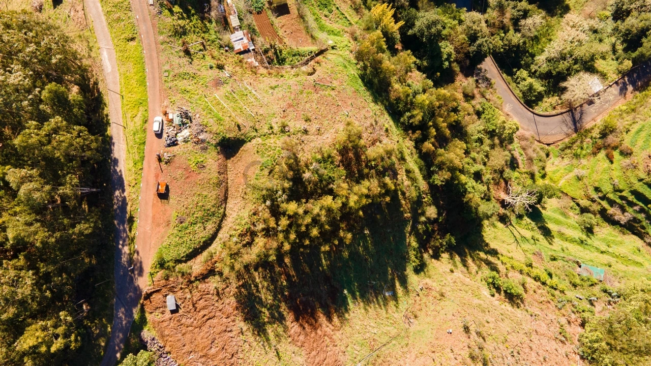 Terreno Agricola ou Rústico para Venda em Camacha Foto 5