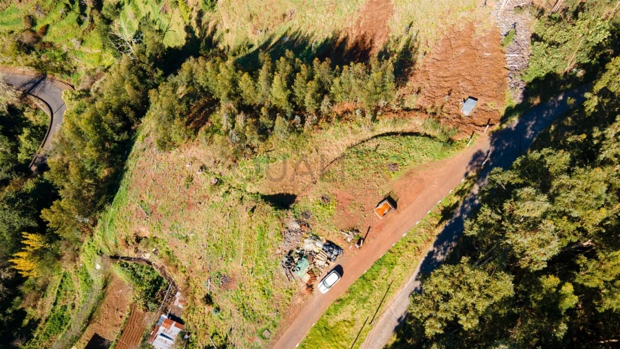 Terreno Agricola ou Rústico para Venda em Camacha Foto 9