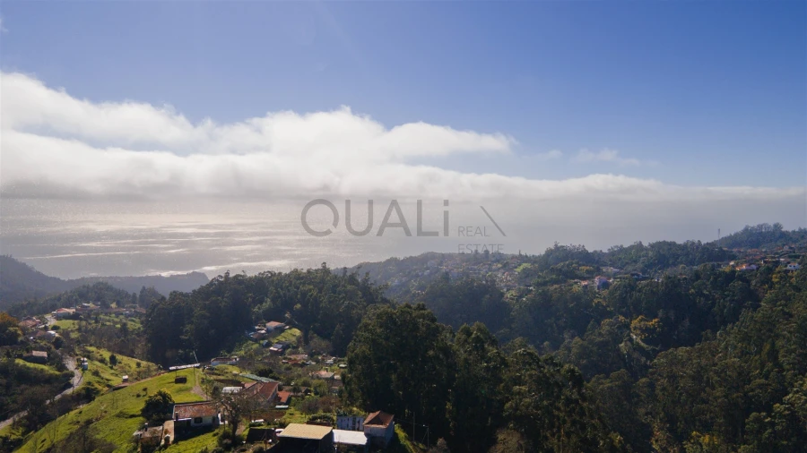 Terreno Agricola ou Rústico para Venda em Camacha Foto 11