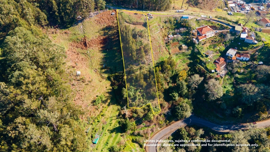 Terreno Agricola ou Rústico para Venda em Camacha Foto 2