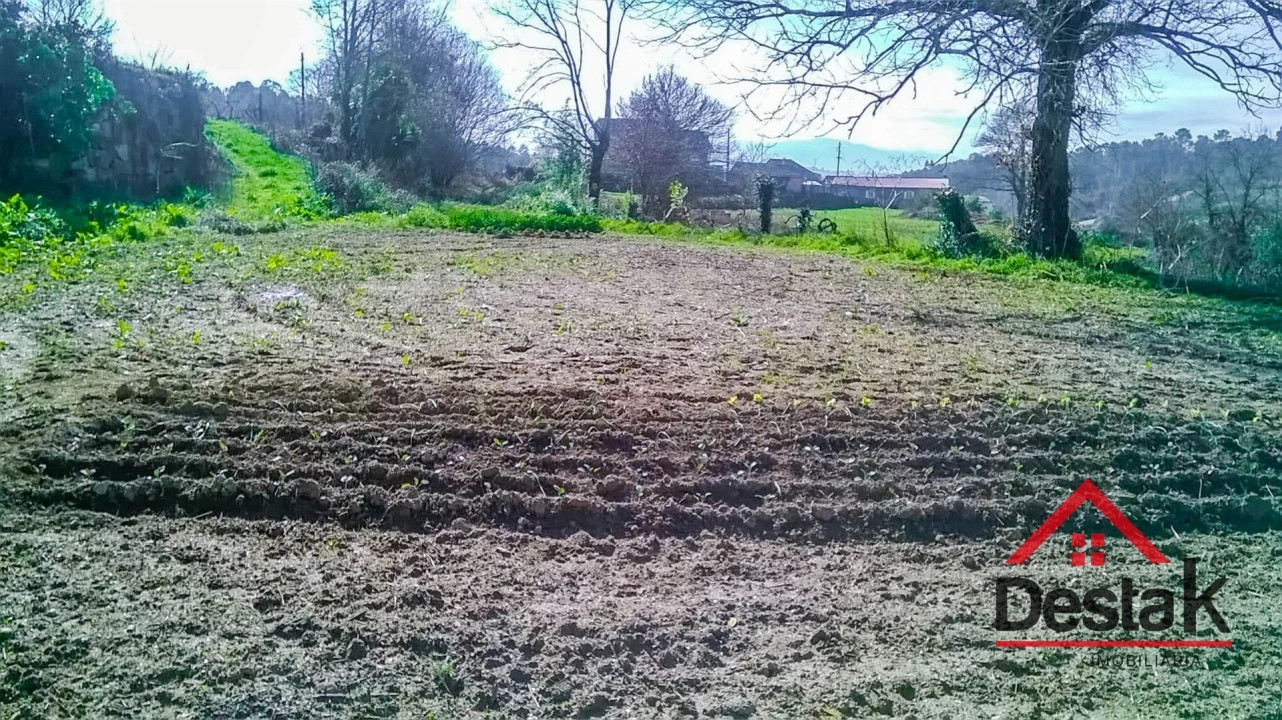 Quinta T0 para Venda em Carvalhais e Candal Foto 4