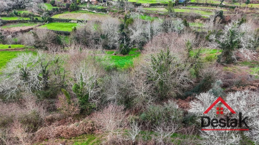 Quinta T0 para Venda em Carvalhais e Candal Foto 8