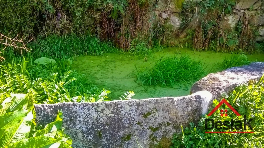 Quinta T0 para Venda em Carvalhais e Candal Foto 5