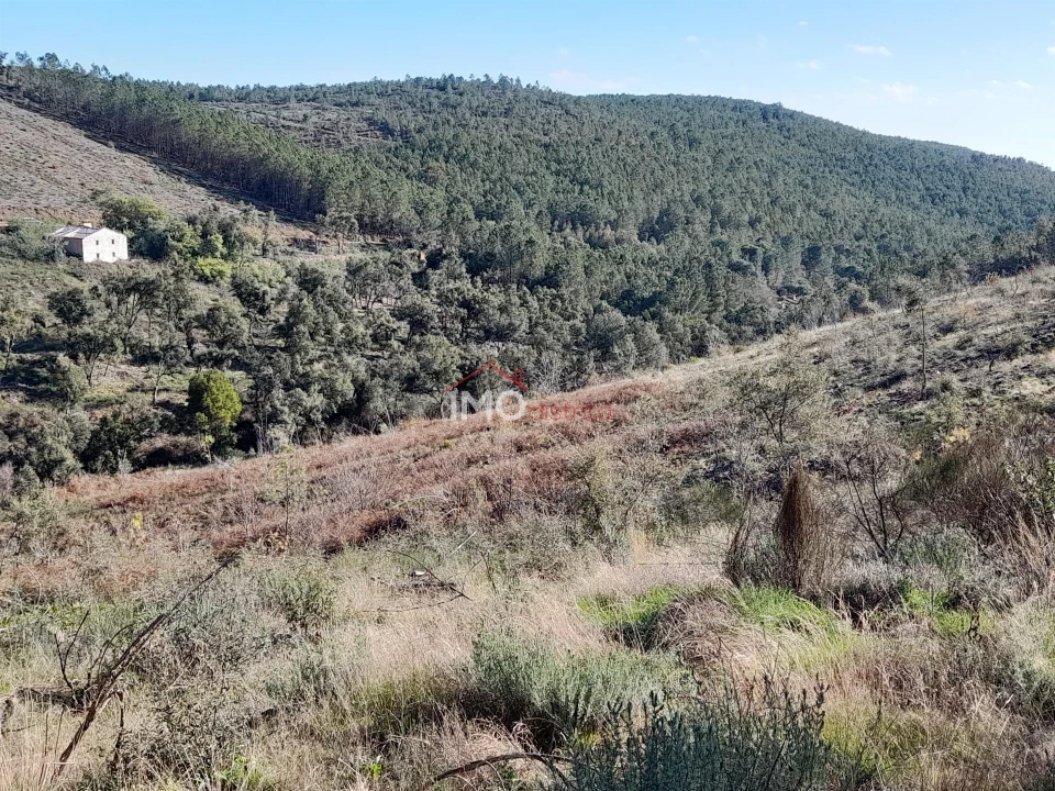 Quinta T0 para Venda em Alegrete Foto 24