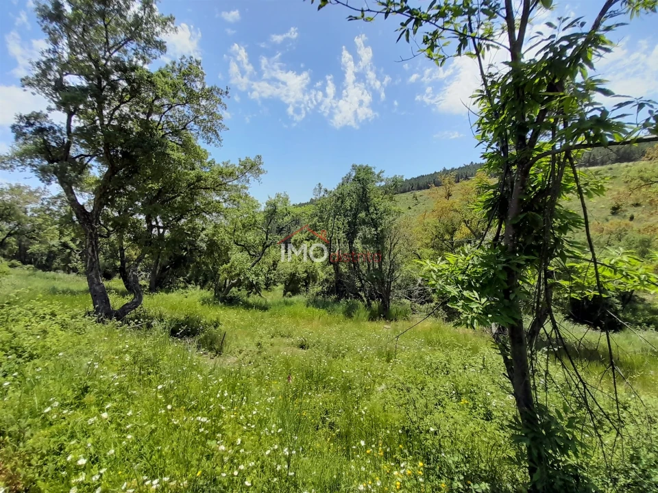 Quinta T0 para Venda em Alegrete Foto 10