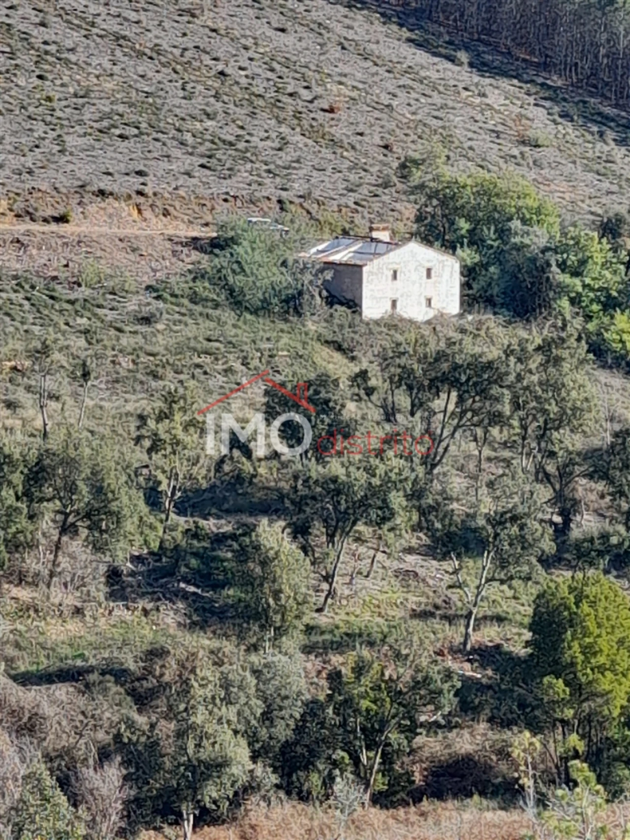 Quinta T0 para Venda em Alegrete Foto 3