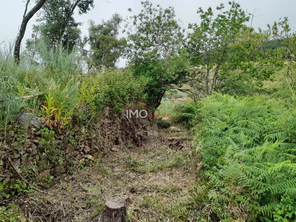 Quinta T0 para Venda em Alegrete Foto 36