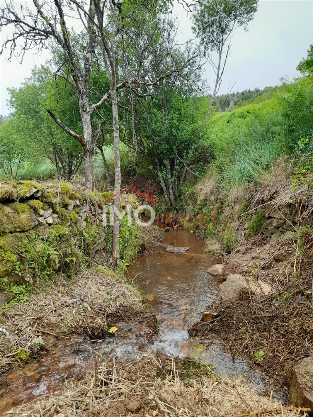 Quinta T0 para Venda em Alegrete Foto 43