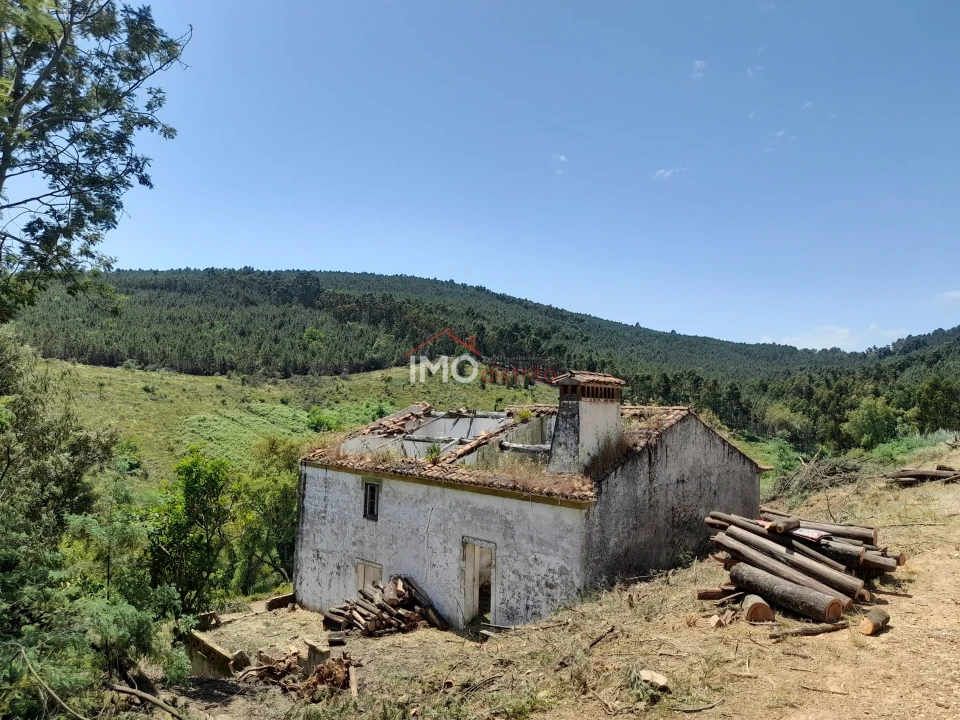 Quinta T0 para Venda em Alegrete Foto 14