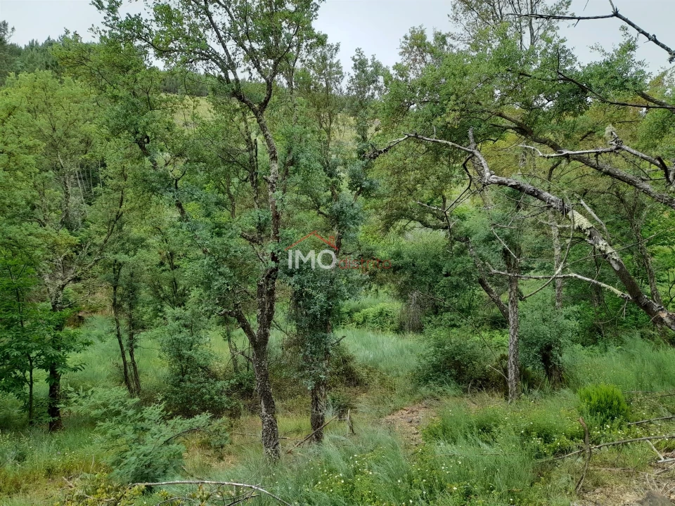 Quinta T0 para Venda em Alegrete Foto 38