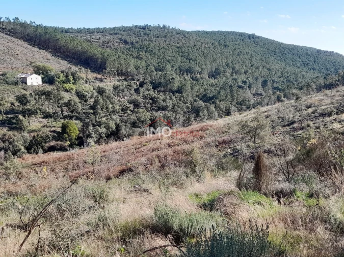 Quinta T0 para Venda em Alegrete Foto 24