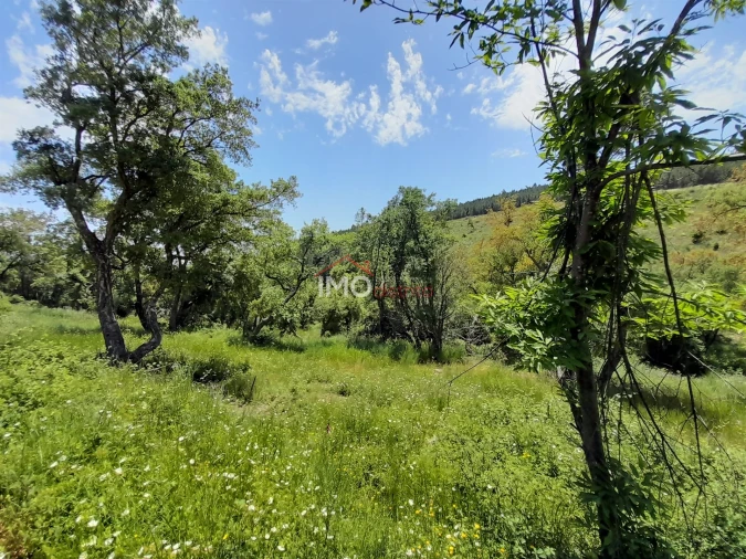 Quinta T0 para Venda em Alegrete Foto 10