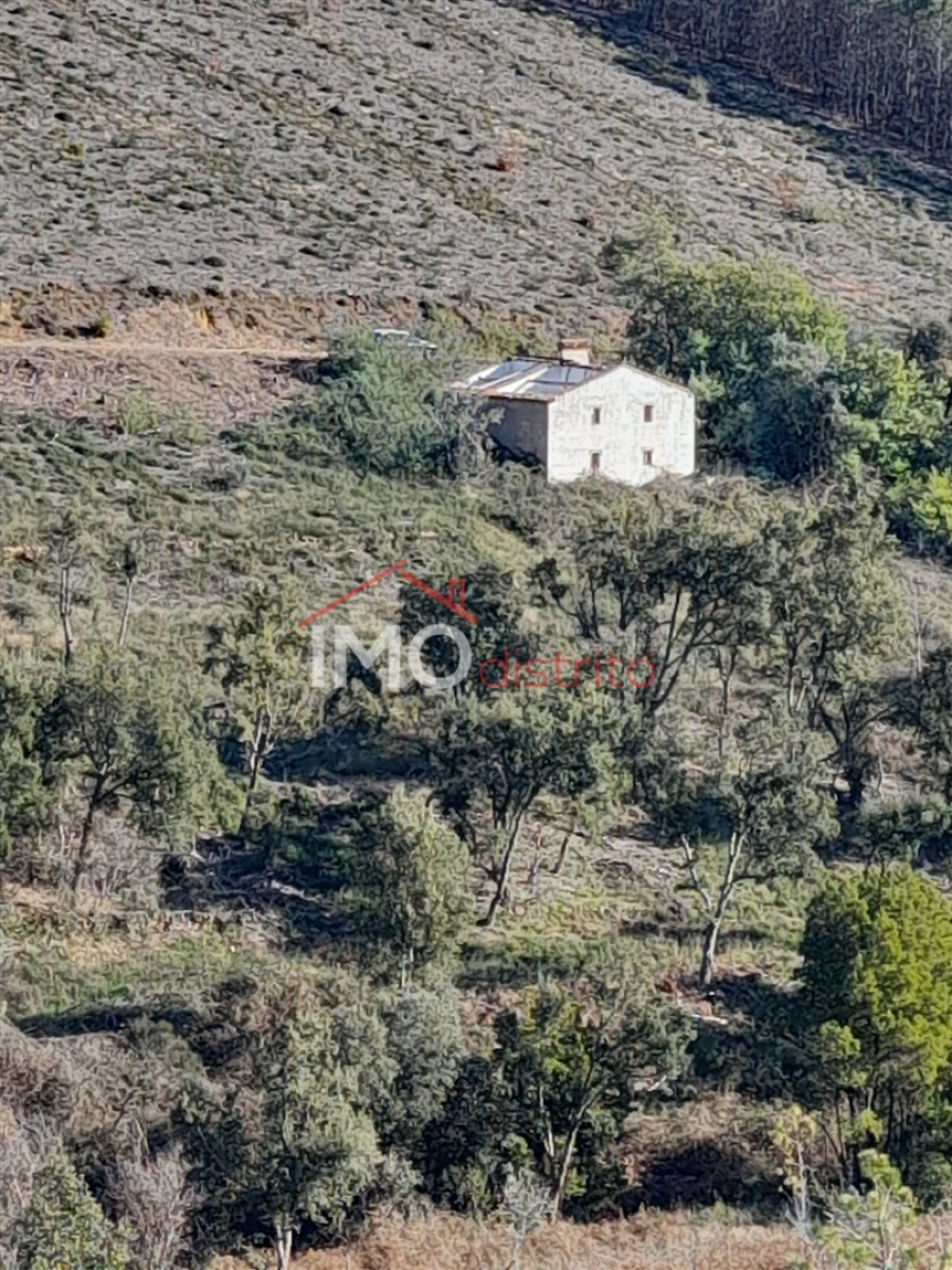 Quinta T0 para Venda em Alegrete Foto 3