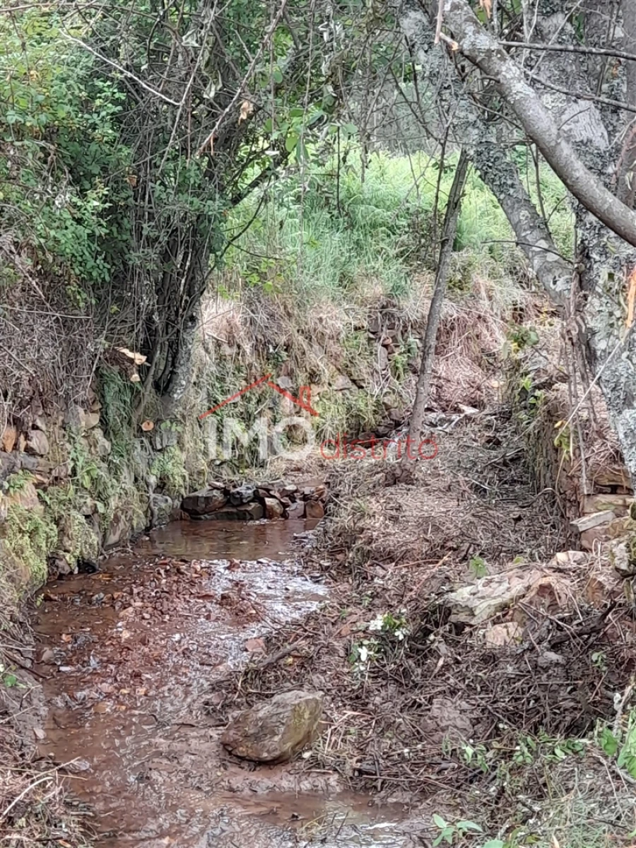 Quinta T0 para Venda em Alegrete Foto 32