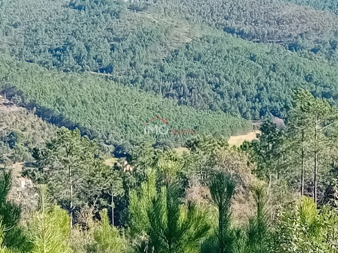 Quinta T0 para Venda em Alegrete Foto 22