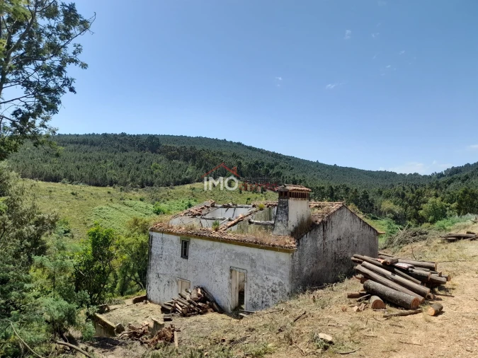 Quinta T0 para Venda em Alegrete Foto 14