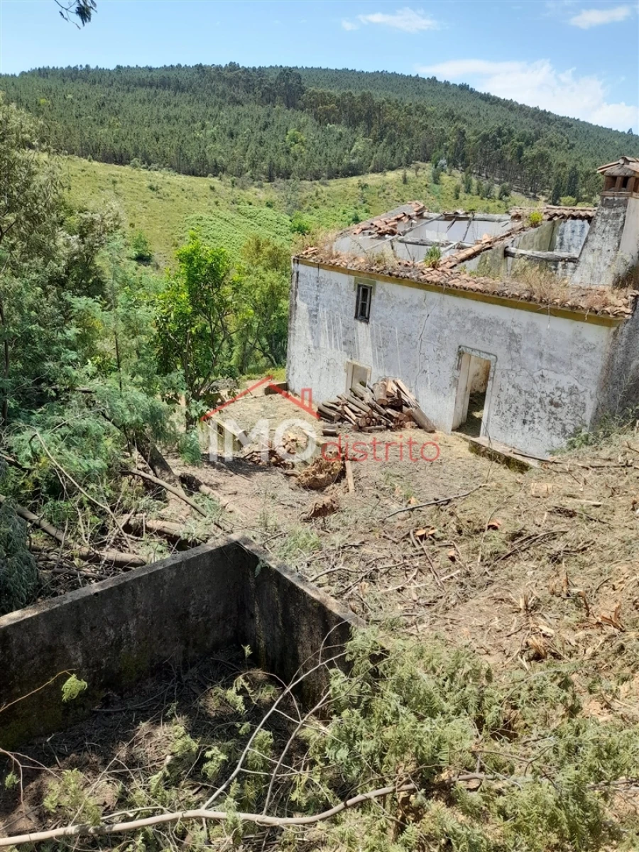 Quinta T0 para Venda em Alegrete Foto 21