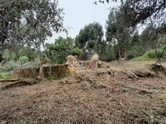 Quinta T0 para Venda em Alegrete Foto 35