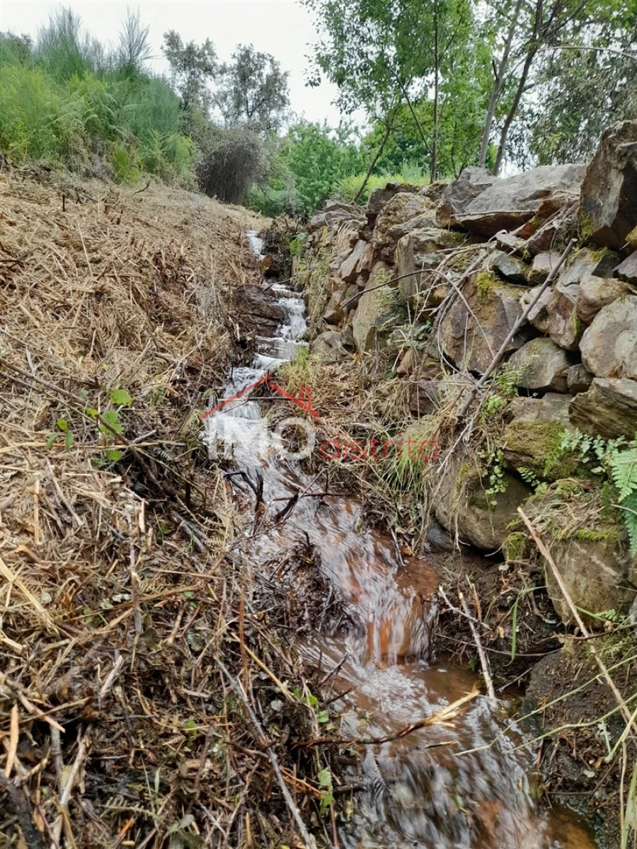 Quinta T0 para Venda em Alegrete Foto 41