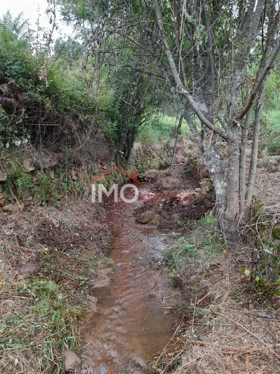 Quinta T0 para Venda em Alegrete Foto 33