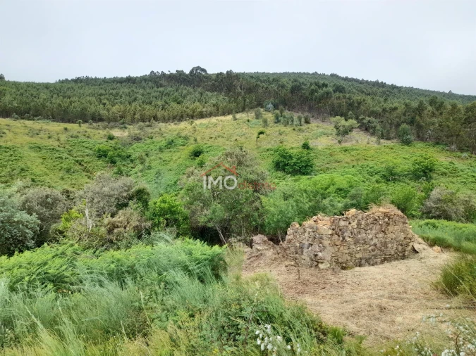 Quinta T0 para Venda em Alegrete Foto 25