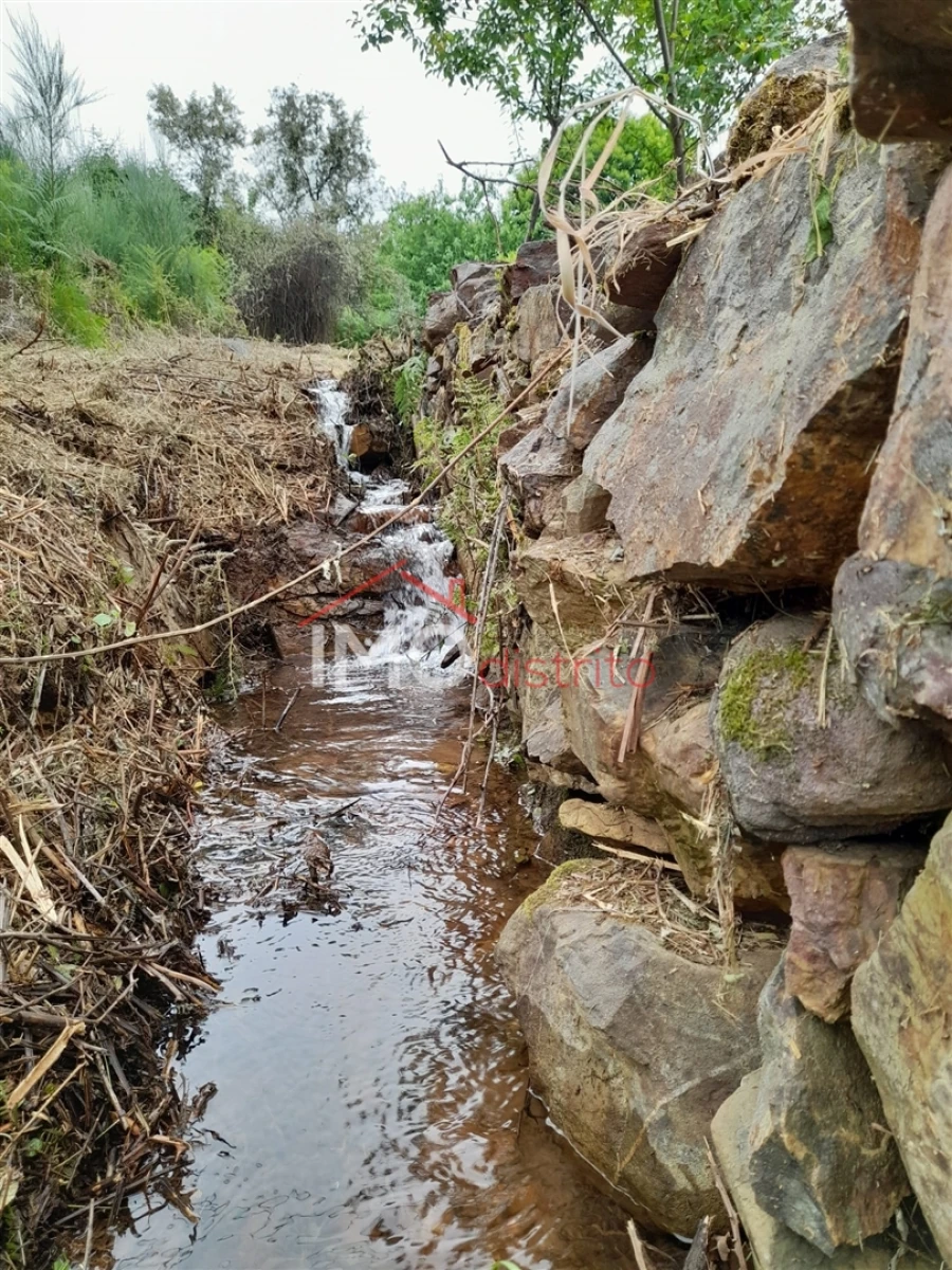 Quinta T0 para Venda em Alegrete Foto 42