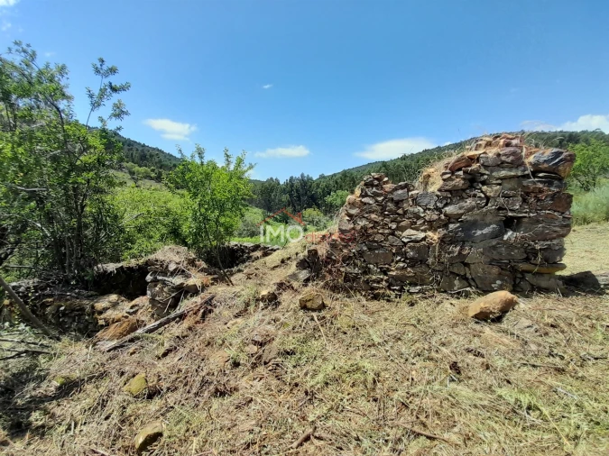 Quinta T0 para Venda em Alegrete Foto 7