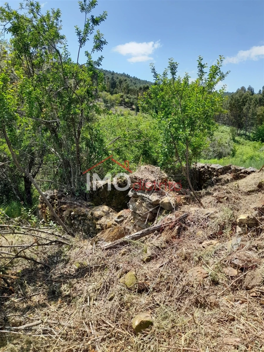 Quinta T0 para Venda em Alegrete Foto 8