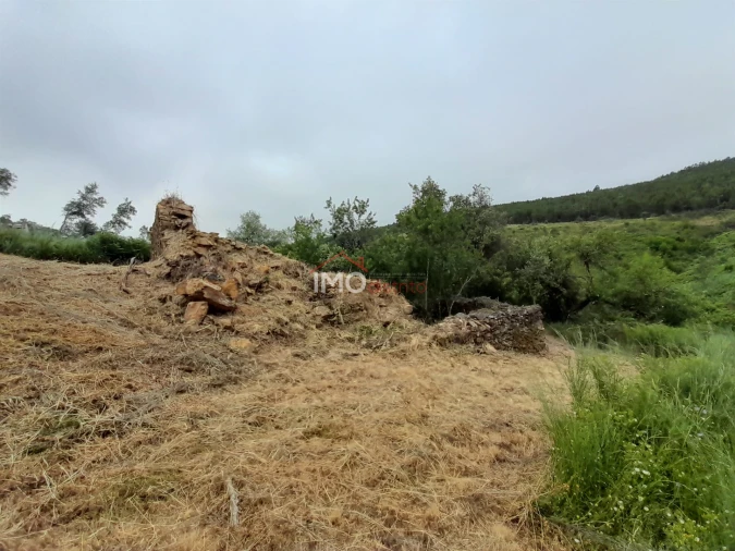 Quinta T0 para Venda em Alegrete Foto 30