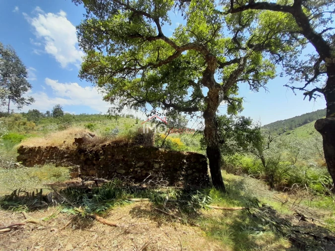 Quinta T0 para Venda em Alegrete Foto 6