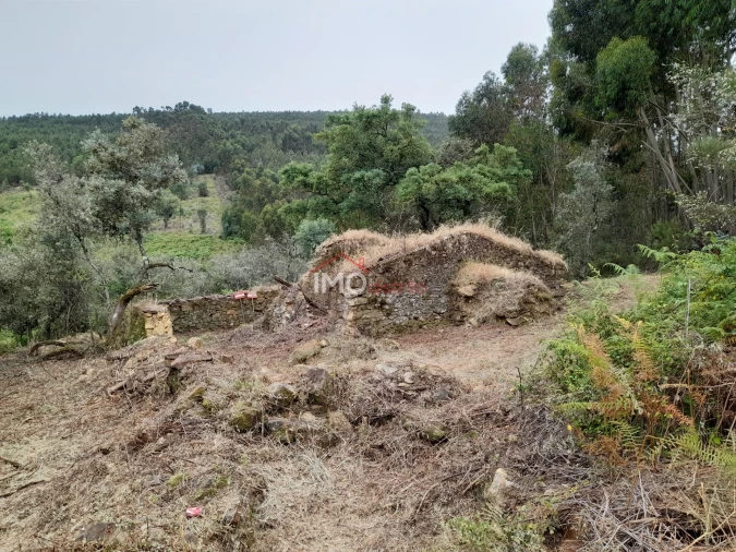 Quinta T0 para Venda em Alegrete Foto 34