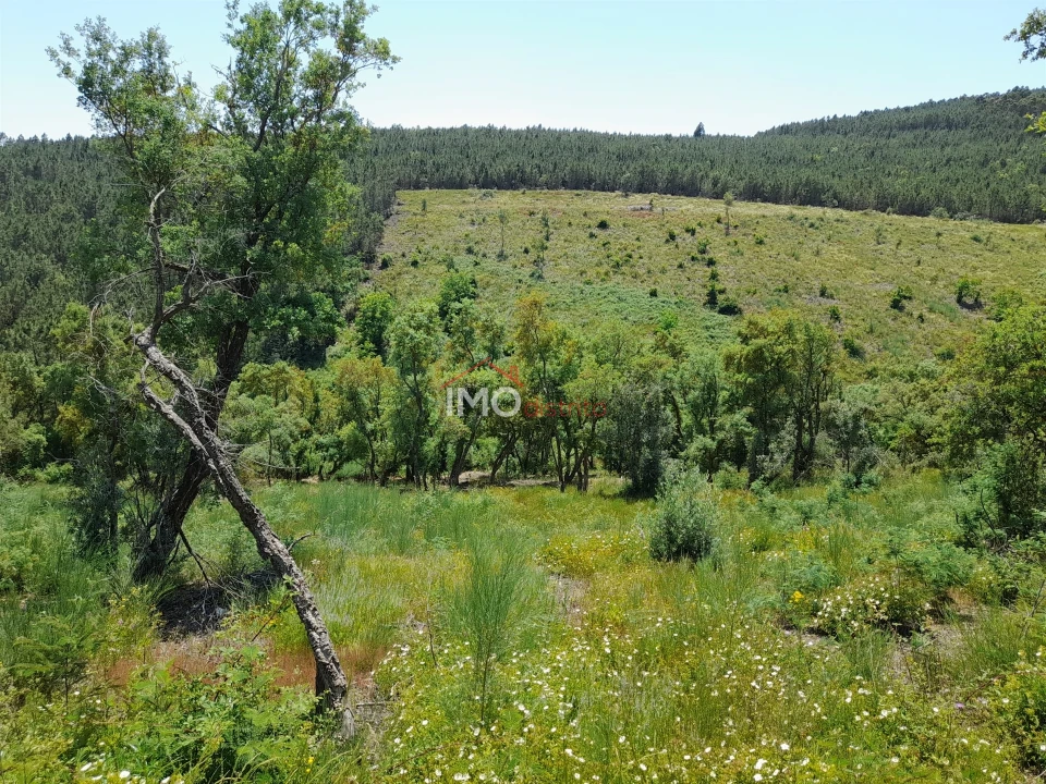 Quinta T0 para Venda em Alegrete Foto 2